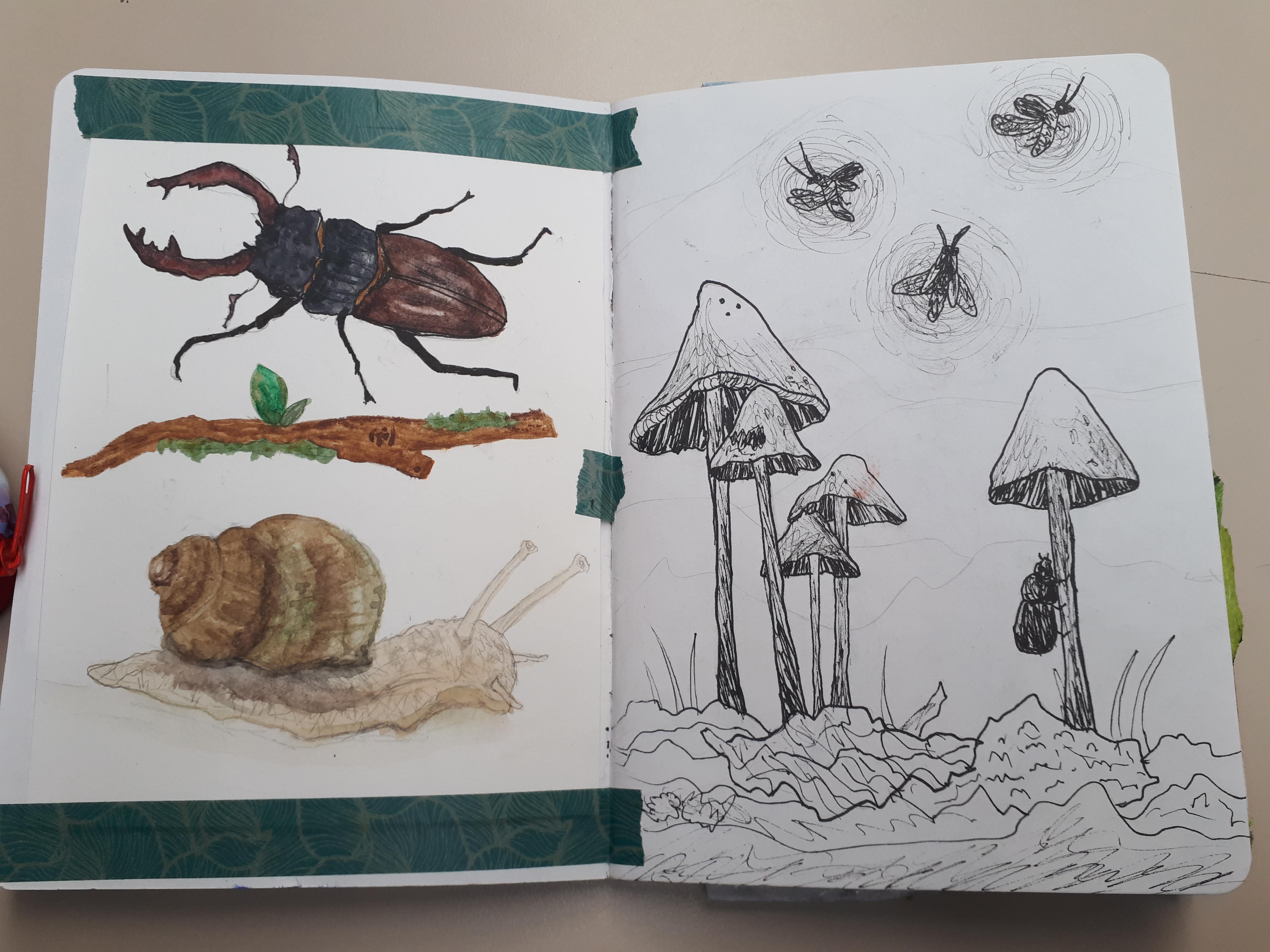 Sketchbook project